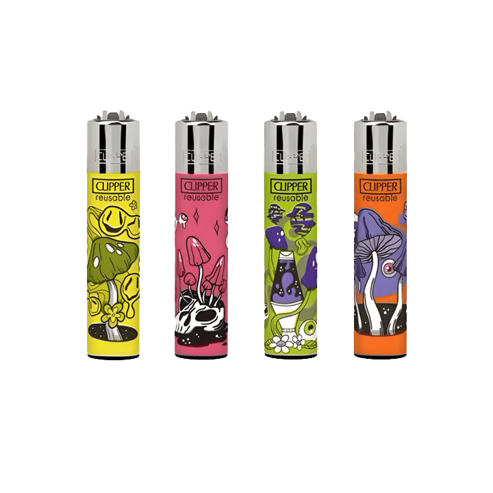 Aansteker lichter Clipper CP11R Classic Large Assorti - Distribución Mayorista