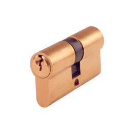 Serratura porta abitazione riprogrammabile (profilo europeo) Rielda | Distribucion Mayorista