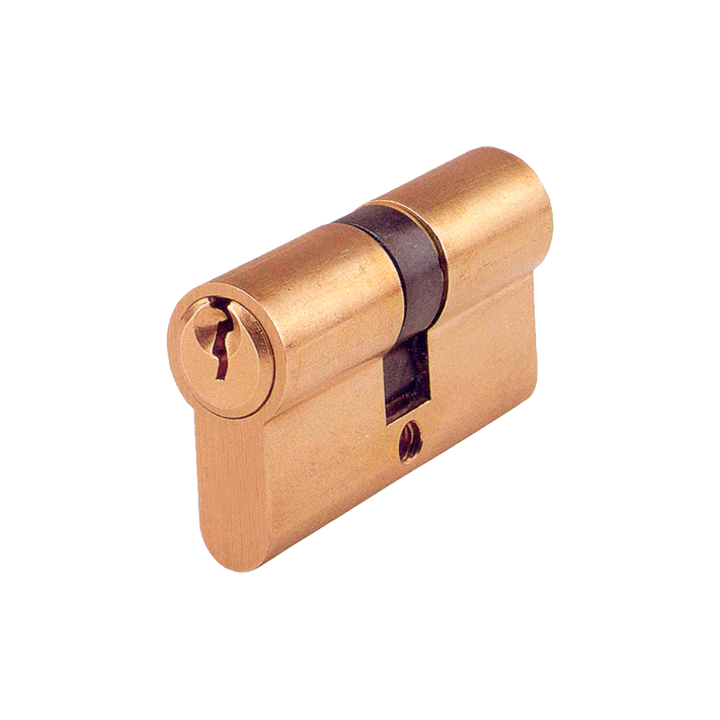 Serratura porta abitazione riprogrammabile (profilo europeo) Rielda | Distribucion Mayorista