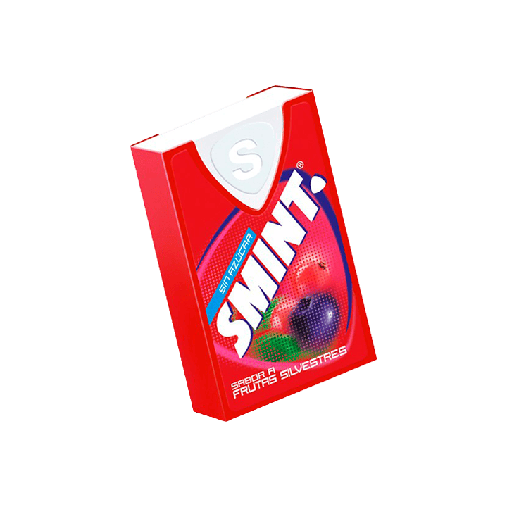 Smint Wilde Vruchten 12 stuks-Distribución Mayorista